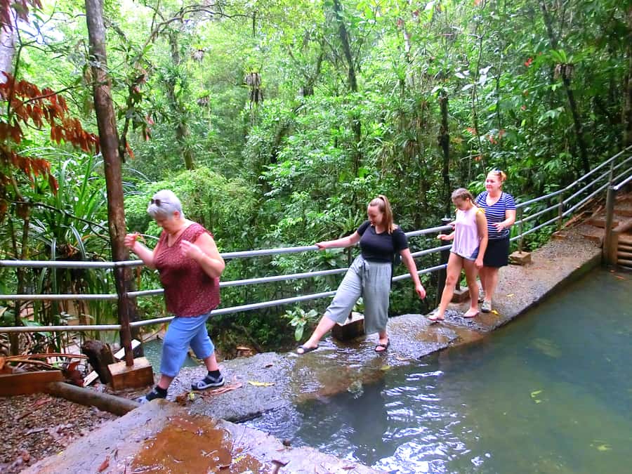 Suva: Fijian Nature and Waterfall Tour - Who will enjoy this most?