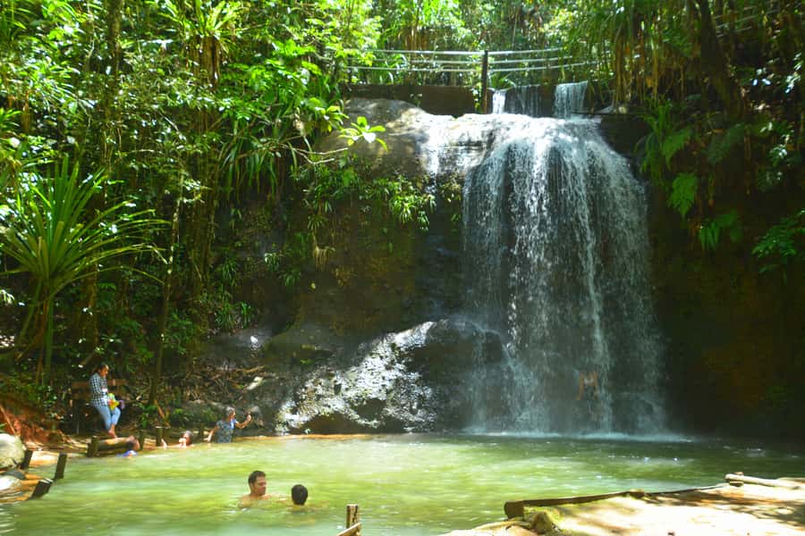 Suva: Fijian Nature and Waterfall Tour - What the private format adds