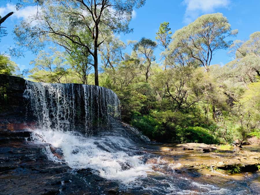 Sydney: Luxury Blue Mountains Adventure with Wentworth Falls - Walking around Wentworth Falls