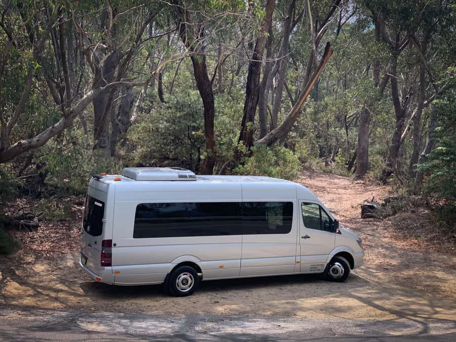 Sydney: Luxury Blue Mountains Adventure with Wentworth Falls - Is $194 good value?