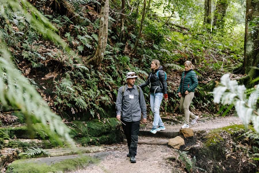 Sydney: Small Group Blue Mountains, Wildlife & Waterfalls - A full Blue Mountains day without Scenic World