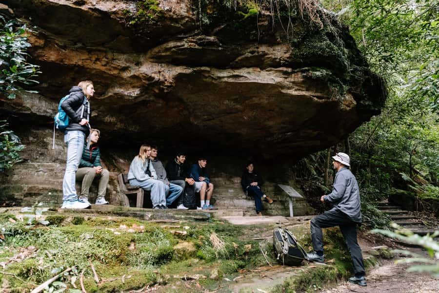 Sydney: Small Group Blue Mountains, Wildlife & Waterfalls - What the $126 price really covers