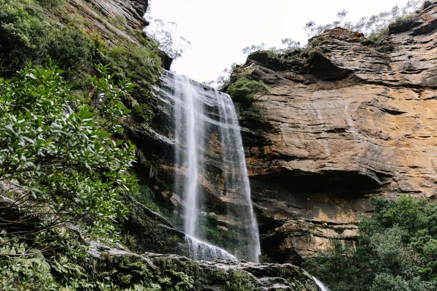 Sydney: Small Group Blue Mountains, Wildlife & Waterfalls - The coach ride becomes part of the tour