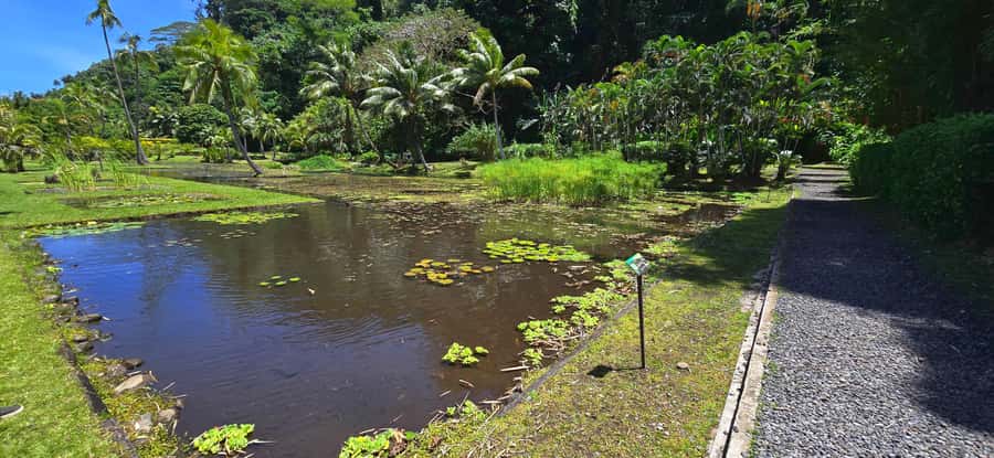 Tahiti Half Day Small Group Circle Tour - Waterfalls & Caves - Point Venus and Matavai Bay’s Pacific stories