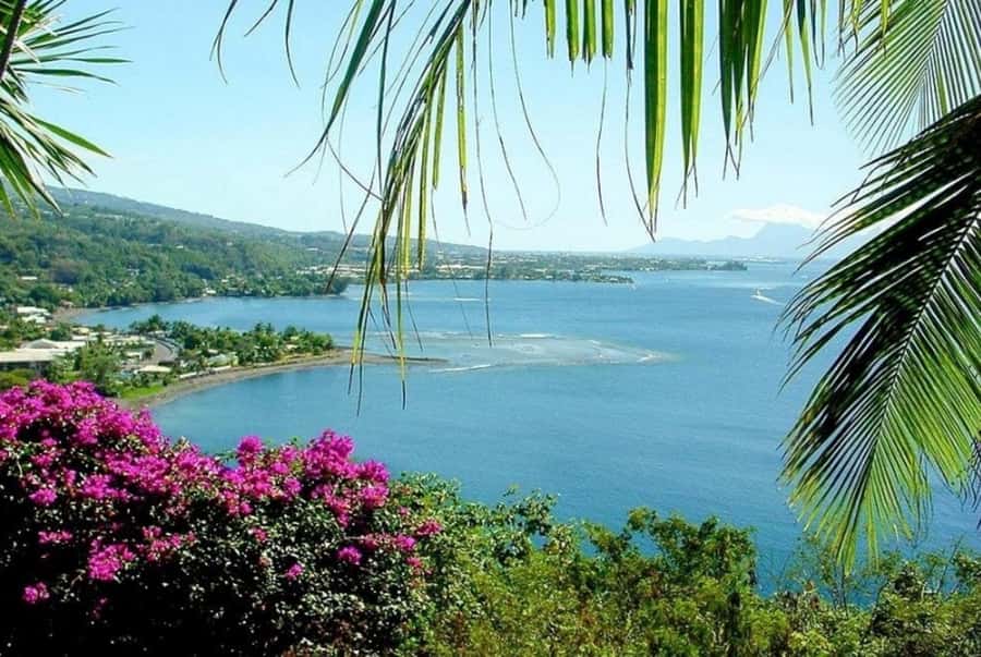 Tahiti: West and East Coast Island Tour with Waterfalls - Key points at a glance