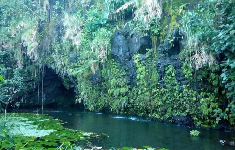 Tahiti: West and East Coast Island Tour with Waterfalls - Pointe Venus connects scenery with exploration history