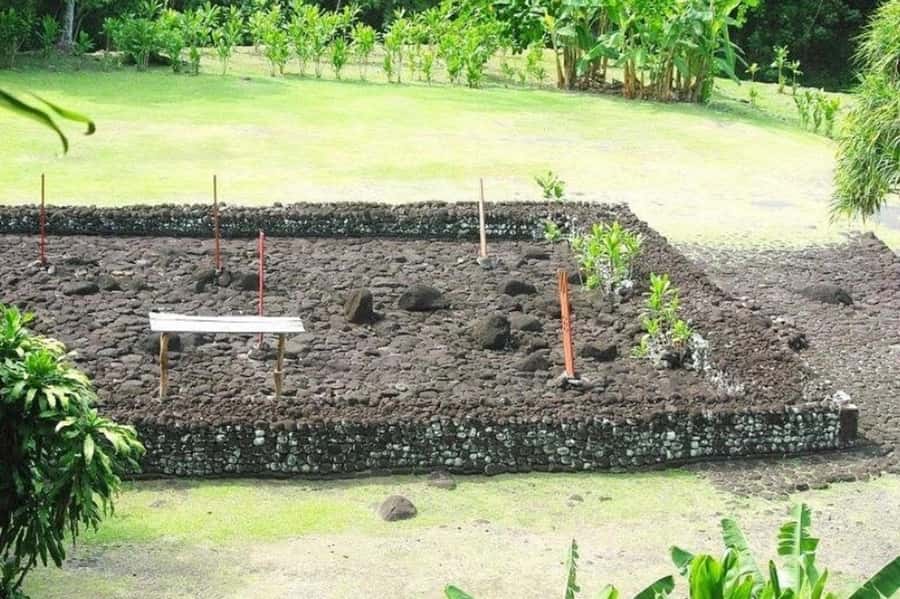 Tahiti: West and East Coast Island Tour with Waterfalls - Arahurahu Marae brings Tahiti’s past into focus