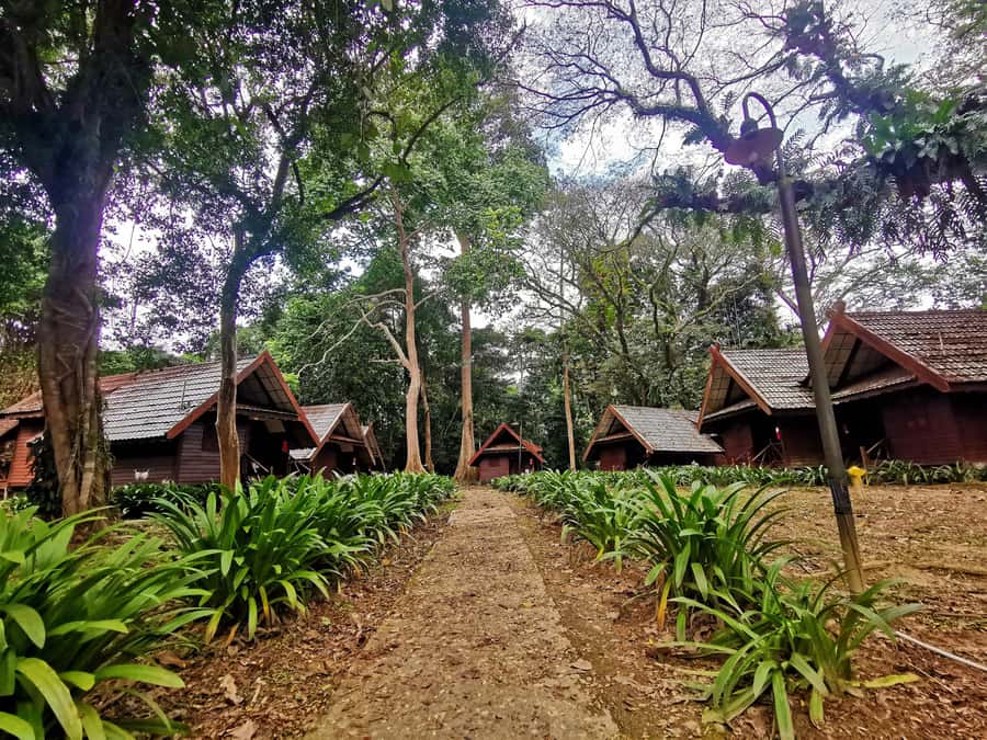 Taman Negara Rainforest Tour with Lata Berkoh Falls - A very long day from Kuala Lumpur