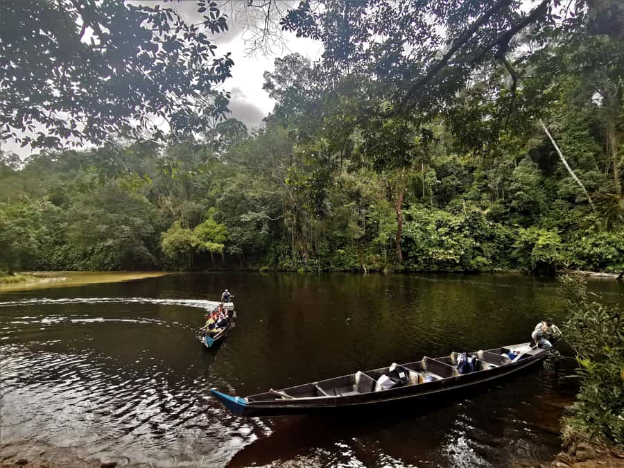 Taman Negara Rainforest Tour with Lata Berkoh Falls - Meeting the Batek community