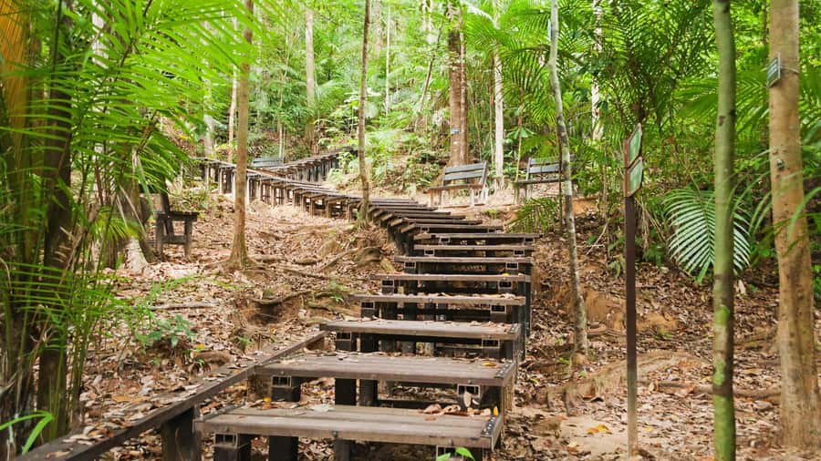 Taman Negara Rainforest Tour with Lata Berkoh Falls - Who will enjoy this day most