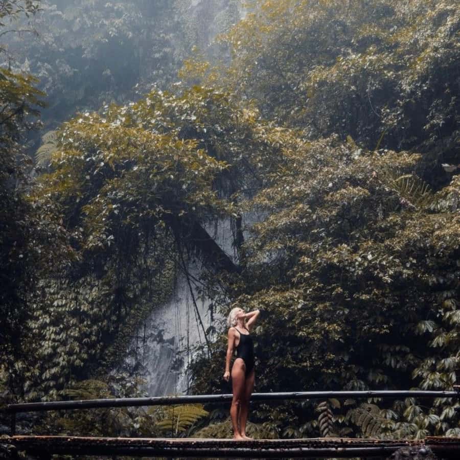 Tanah Lot-Nung Nung Waterfall-Jatiluwih and Bedugul - Jatiluwih rice terraces and Bali’s farming tradition