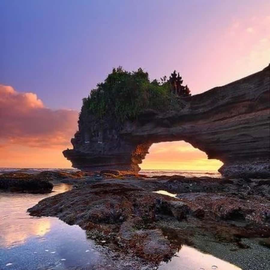Tanah Lot-Nung Nung Waterfall-Jatiluwih and Bedugul - Tabanan: a short shopping pause