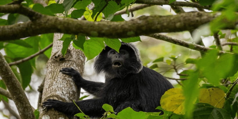 Tetebatu: Rice Fields, Waterfall, & Monkey Forest Day Tour - Who will enjoy this tour most