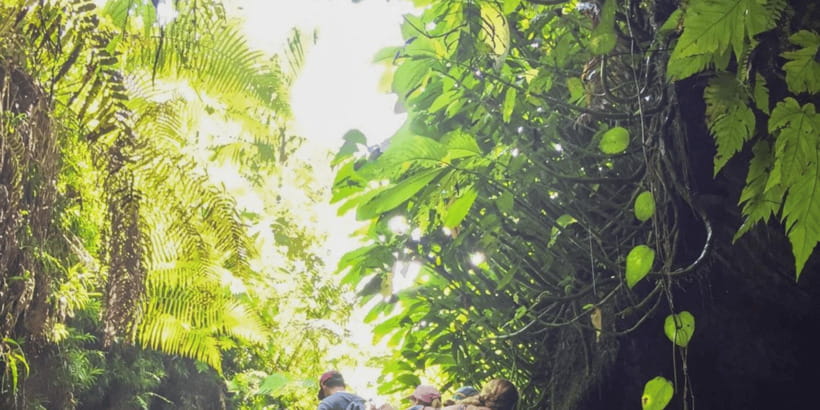 Tetebatu: Rice Fields, Waterfall, & Monkey Forest Day Tour - Walking the rice terraces and village paths
