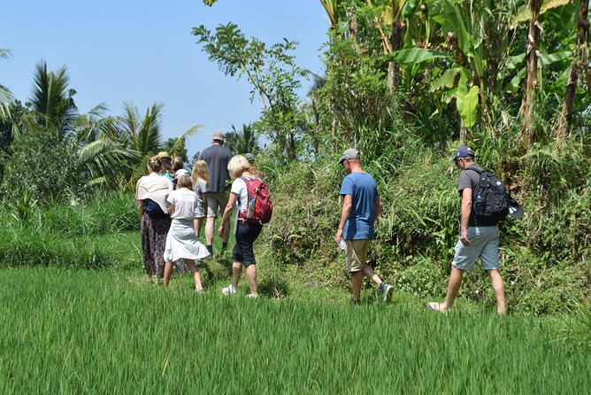 Tetebatu Walking Tour - Rice Terraces, Waterfall & Monkey Forest - What the $68 price really covers