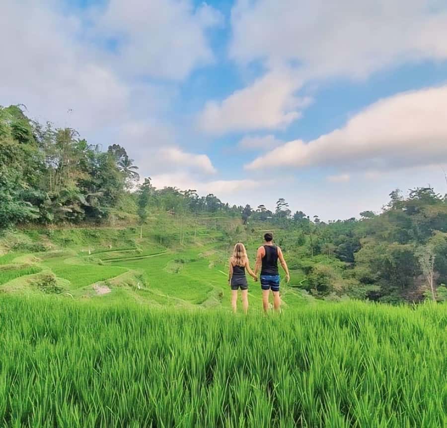 Tetebatu : Waterfall, Rice Fields & Monkey Forest Full day - Key points at a glance