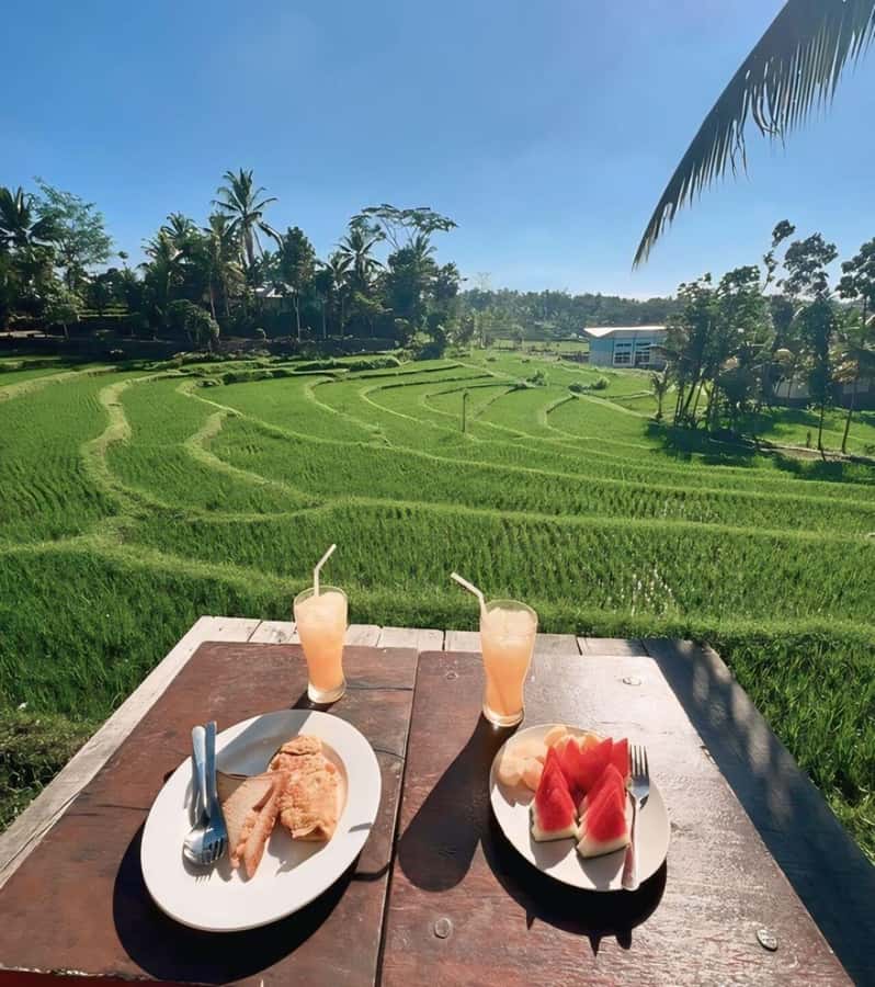 Tetebatu : Waterfall, Rice Fields & Monkey Forest Full day - Who will enjoy this private day