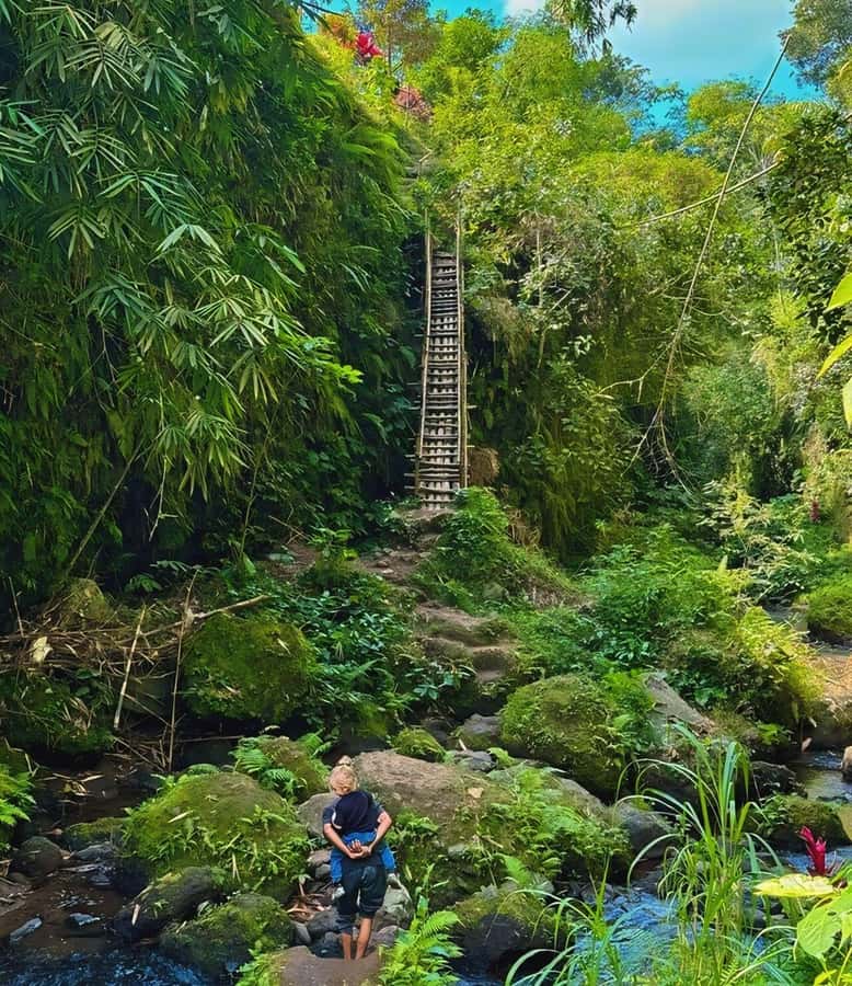 Tetebatu : Waterfall, Rice Fields & Monkey Forest Full day - Swimming at the waterfall