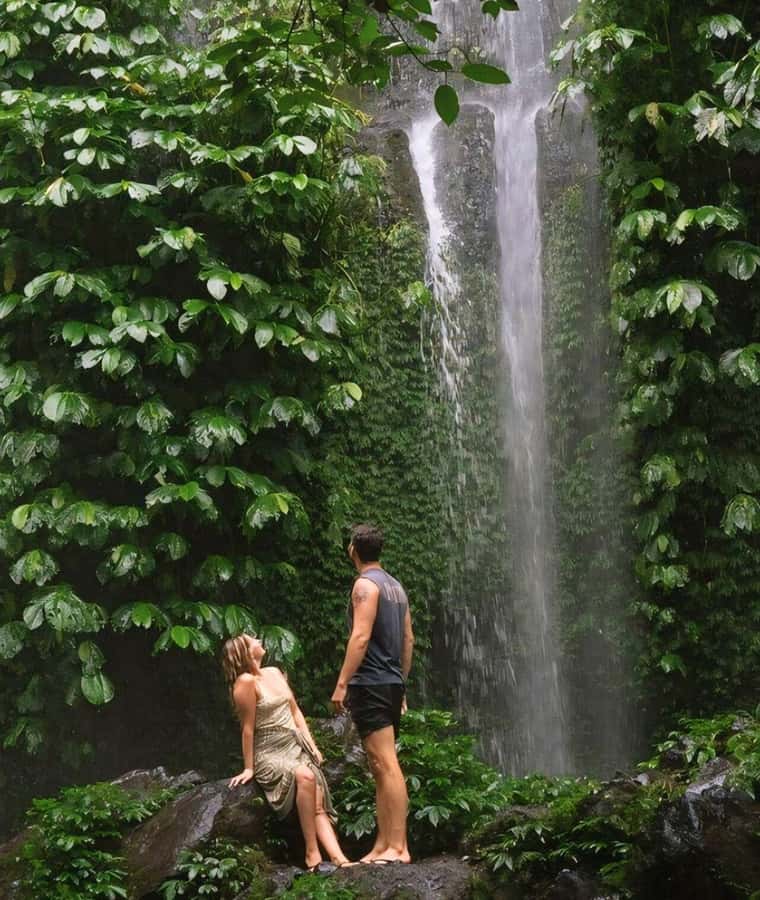Tetebatu : Waterfall, Rice Fields & Monkey Forest Full day - Searching for black monkeys in the Rinjani forest