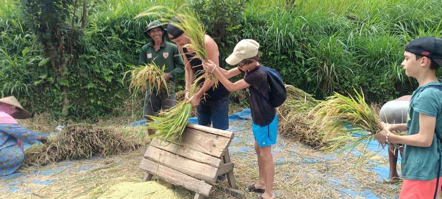 Tetebatu: Waterfalls, Spices, Rice Terrace, Monkey forest - Why Tetebatu works best on foot