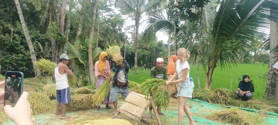 Tetebatu: Waterfalls, Spices, Rice Terrace, Monkey forest - Searching the Monkey Forest for black-collared monkeys