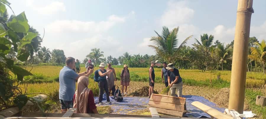 Tetebatu: Waterfalls, Spices, Rice Terrace, Monkey forest - Is $21 good value?