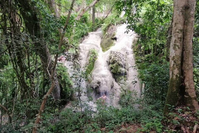 The Best Full Day Tour: Doi Suthep, Wat Phalat, Sticky Waterfall - The long road between the stops