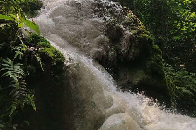 The Best Full Day Tour: Doi Suthep, Wat Phalat, Sticky Waterfall - Food, timing, and the useful extras