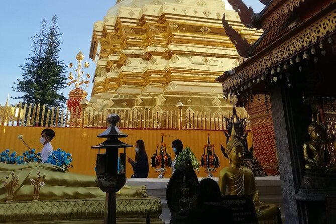 The Best Full Day Tour: Doi Suthep, Wat Phalat, Sticky Waterfall - Who should book this tour