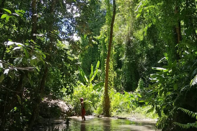 The Best Full Day Tour: Doi Suthep, Wat Phalat, Sticky Waterfall - My verdict on the $48.67 price
