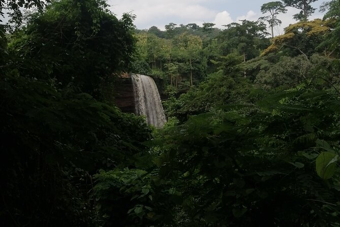 The Botanical Gardens and Water Falls Experience - Private Tour - From Accra to the Aburi hills
