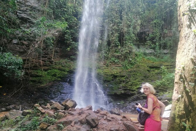 The Botanical Gardens and Water Falls Experience - Private Tour - What the $222.15 price covers