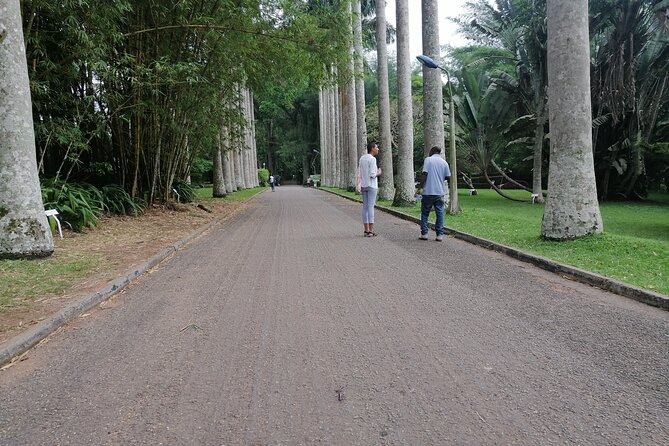 The Botanical Gardens and Water Falls Experience - Private Tour - Why private transport changes the day