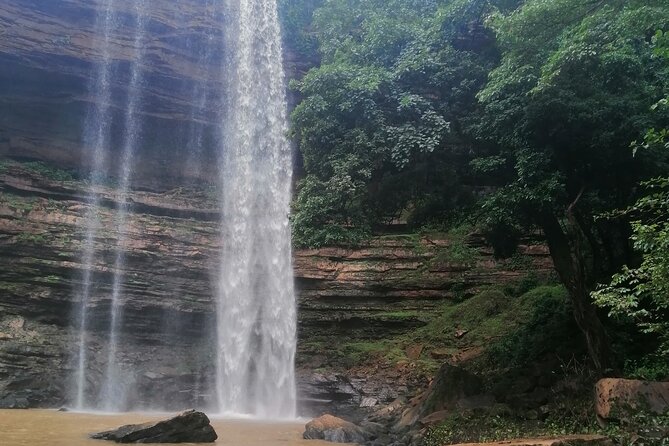 The Botanical Gardens and Water Falls Experience - Private Tour - Who will enjoy this outing most