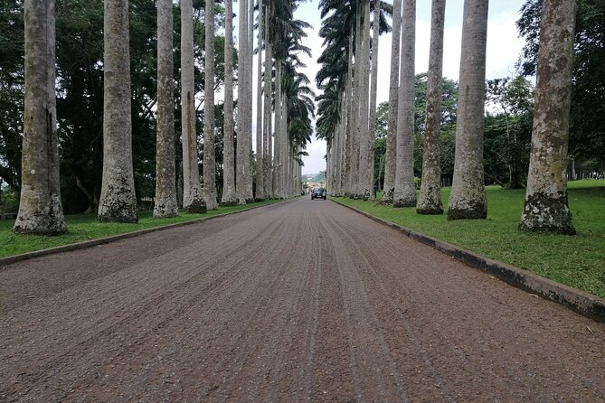 The Botanical Gardens and Water Falls Experience - Private Tour - A one-hour walk through Aburi Botanical Gardens