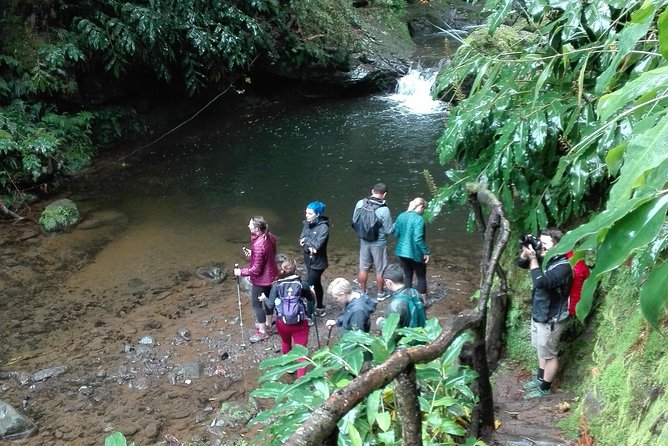 The Great waterfalls Hiking tour - The guides make the difference