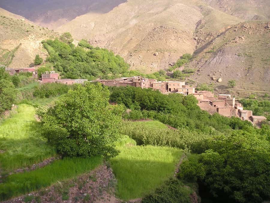 Three valleys, Atlas Mountain, waterfalls & Agafay Desert - Lunch in a Berber family home