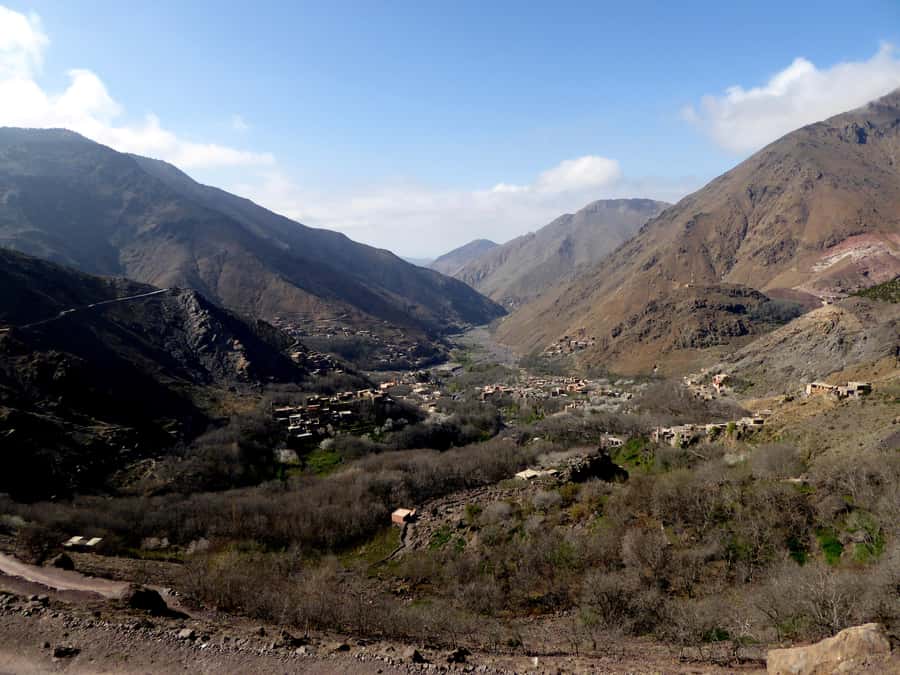Three valleys, Atlas Mountain, waterfalls & Agafay Desert - Camels at sunset in the Agafay Desert