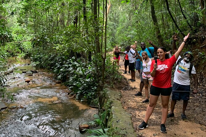 Tijuca Forest Hike - Waterfalls & Caves, Nature & Wild Life! - Historic Tijuca adds more than scenery