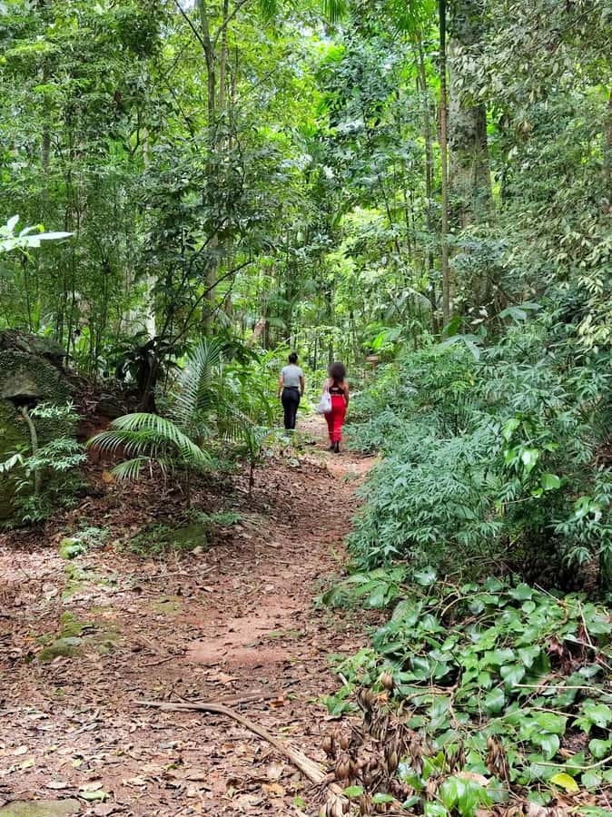 Tijuca Forest´s hike: caves, waterfalls and great views - Starting at Praça Afonso Viseu