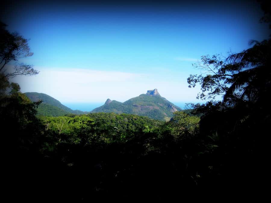Tijuca Forest´s hike: caves, waterfalls and great views - What the $40 price includes