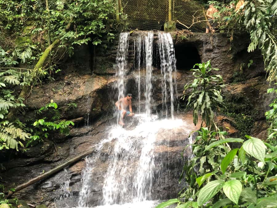 Tijuca Forest´s hike: caves, waterfalls and great views - Trails, streams, and the forest’s older side