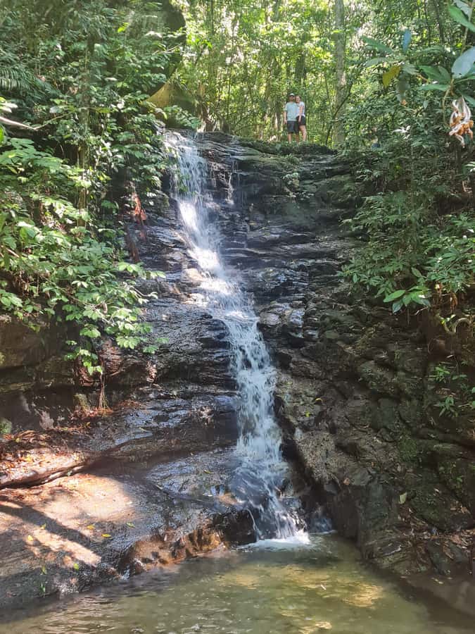 Tijuca Rain Forest - Adventure through Waterfalls & Caves - What the $60 price really covers