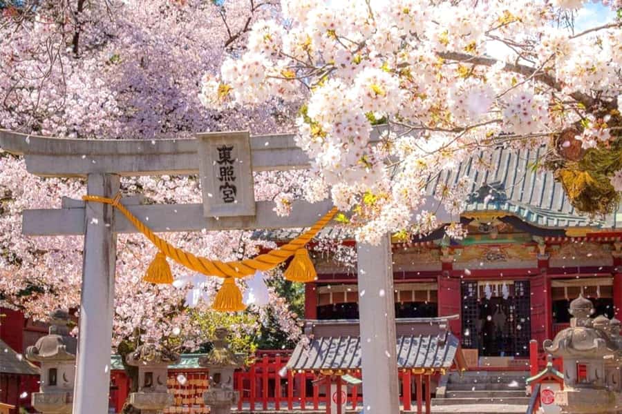 Tokyo: Nikko Day Tour Shrines, Lake Chūzenji & Kegon Falls - Why Nikko works as a long day from Tokyo