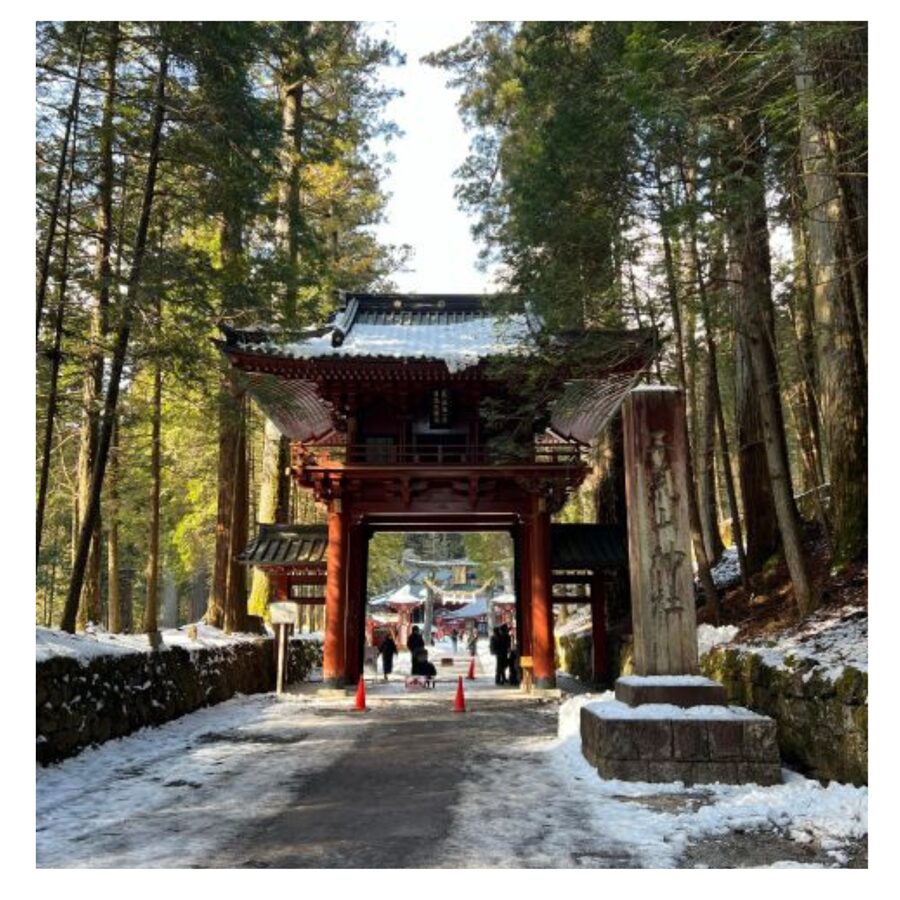 Tokyo: Nikko Day Tour Shrines, Lake Chūzenji & Kegon Falls - Toshogu Shrine, Nikko’s grand centerpiece