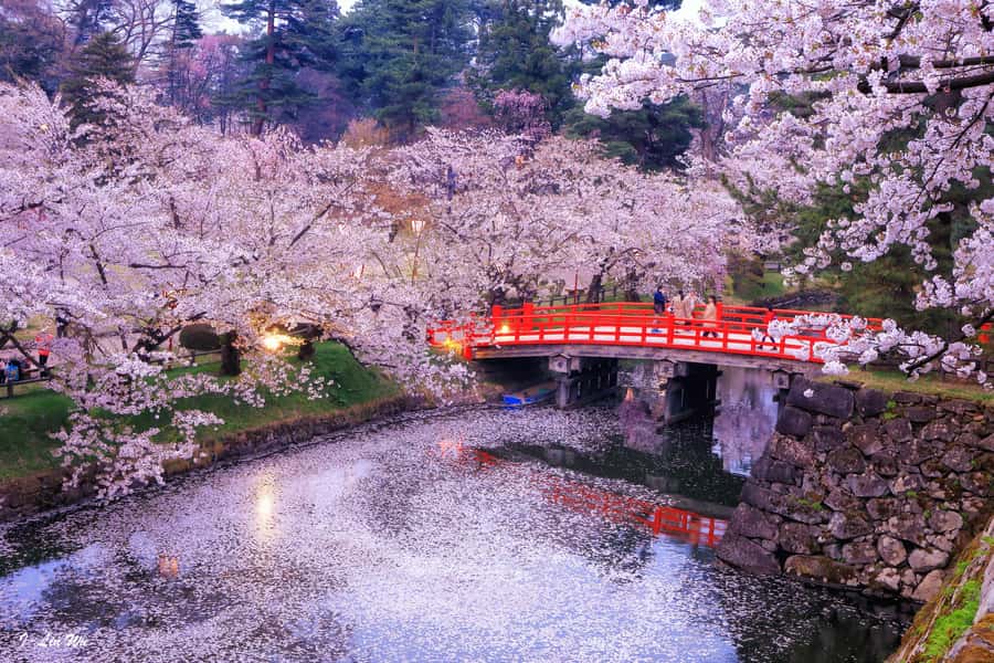 Tokyo: Nikko Day Tour Shrines, Lake Chūzenji & Kegon Falls - The drive to Nikko and the value of a private car