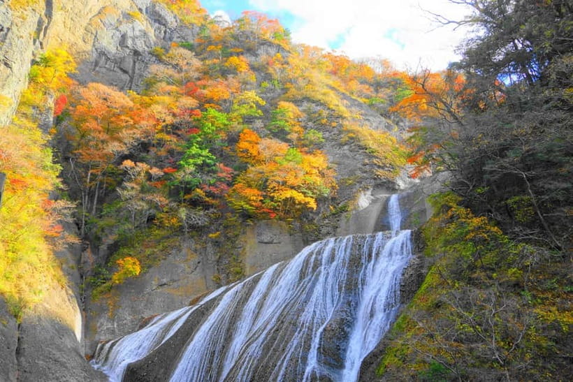 Tokyo: Spring Hitachi Seaside & Ashikaga Flower Park Tour - Who should book this $98 tour?