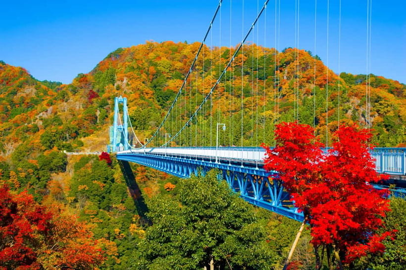 Tokyo: Spring Hitachi Seaside & Ashikaga Flower Park Tour - Hitachi Seaside Park and the blue hill