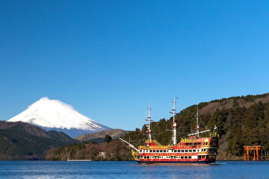 Tokyo: Spring Hitachi Seaside & Ashikaga Flower Park Tour - How to prepare for the flower parks