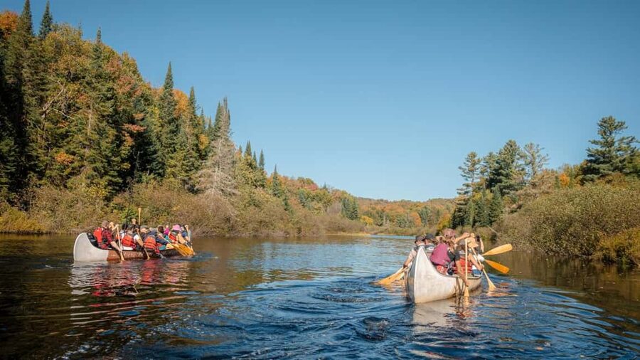 Toronto: Algonquin Park and Ragged Falls Day Trip - Why this Algonquin day trip works from Toronto